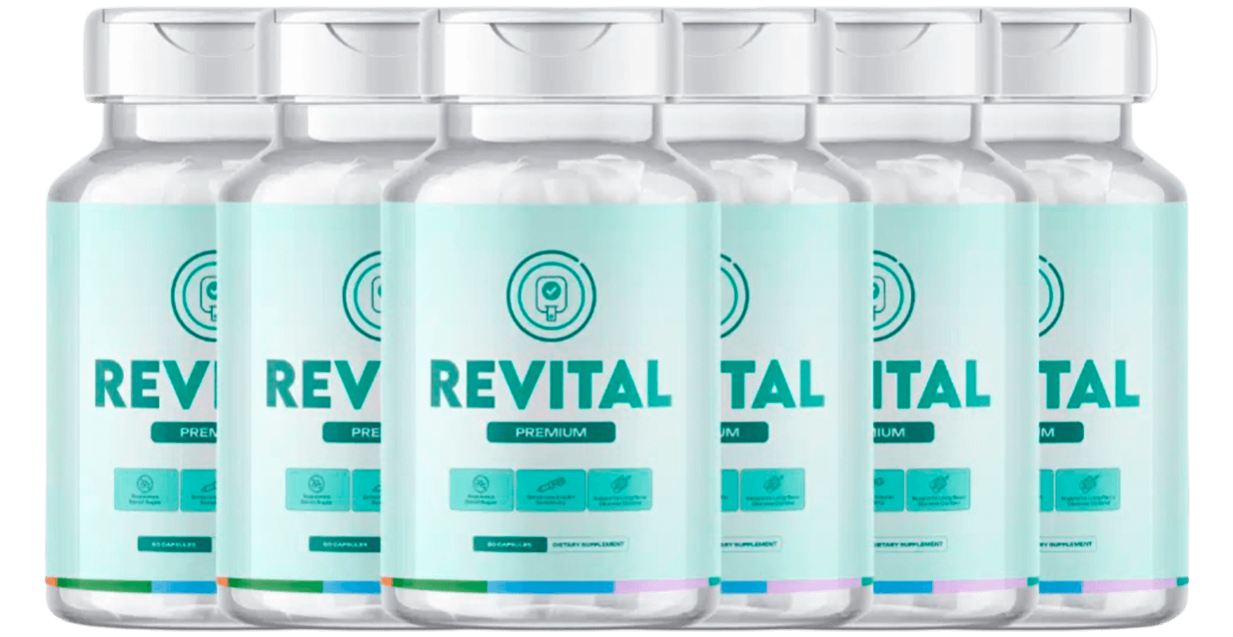 6 Bottles Revital